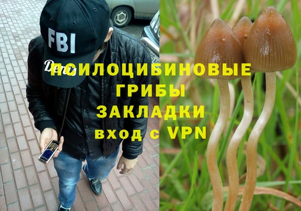 дурь Горняк