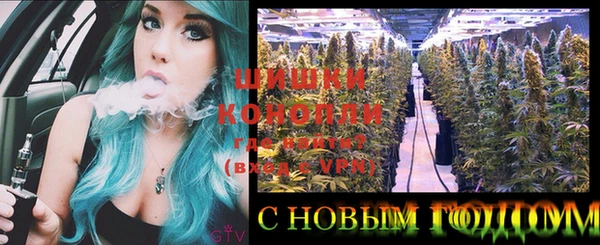 мдпв Горно-Алтайск
