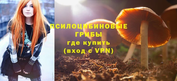 мдпв Горно-Алтайск