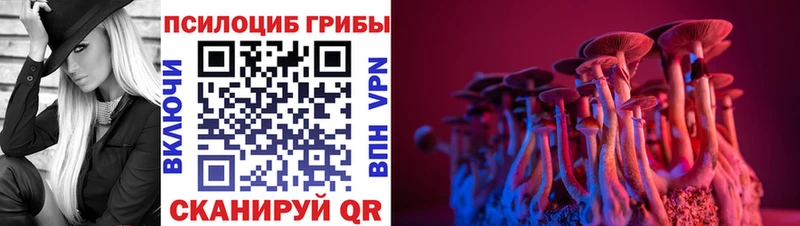 Галлюциногенные грибы ЛСД  купить   Павловск 